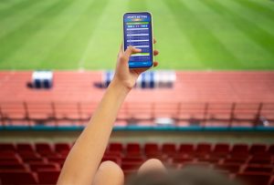sports betting software developers