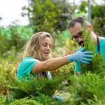 Tree Cutting Service Tree Trimming Service in Frederick MD Essential Tree Maintenance
