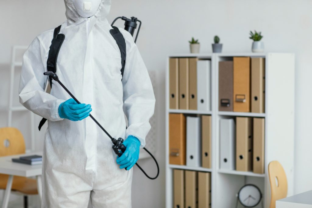 Rodent and Termite Control Near Me A Dual Approach to Safeguarding Duluth GA Homes