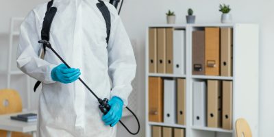 Rodent and Termite Control Near Me A Dual Approach to Safeguarding Duluth GA Homes
