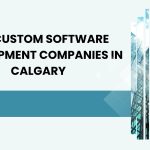Top Custom Software Development Companies in Calgary
