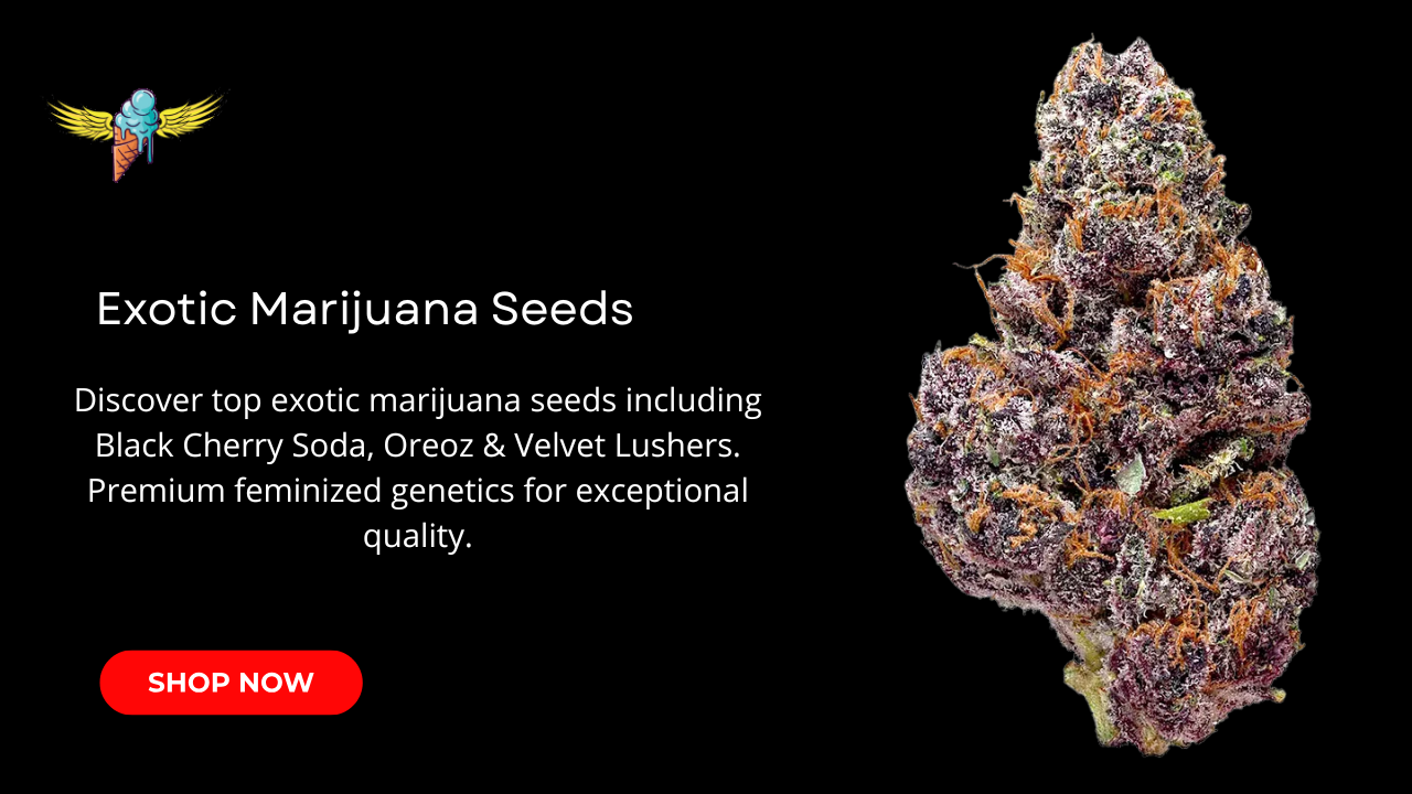 Exotic Marijuana Seeds