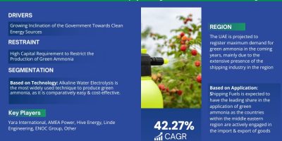 Middle East & Africa Green Ammonia Market