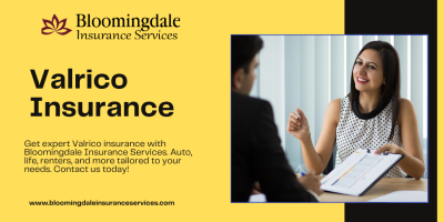 Valrico Insurance