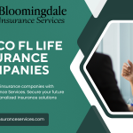 Valrico FL Life Insurance Companies
