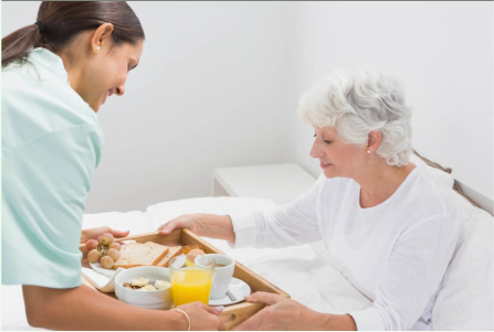 Professional Caregivers in Goshen