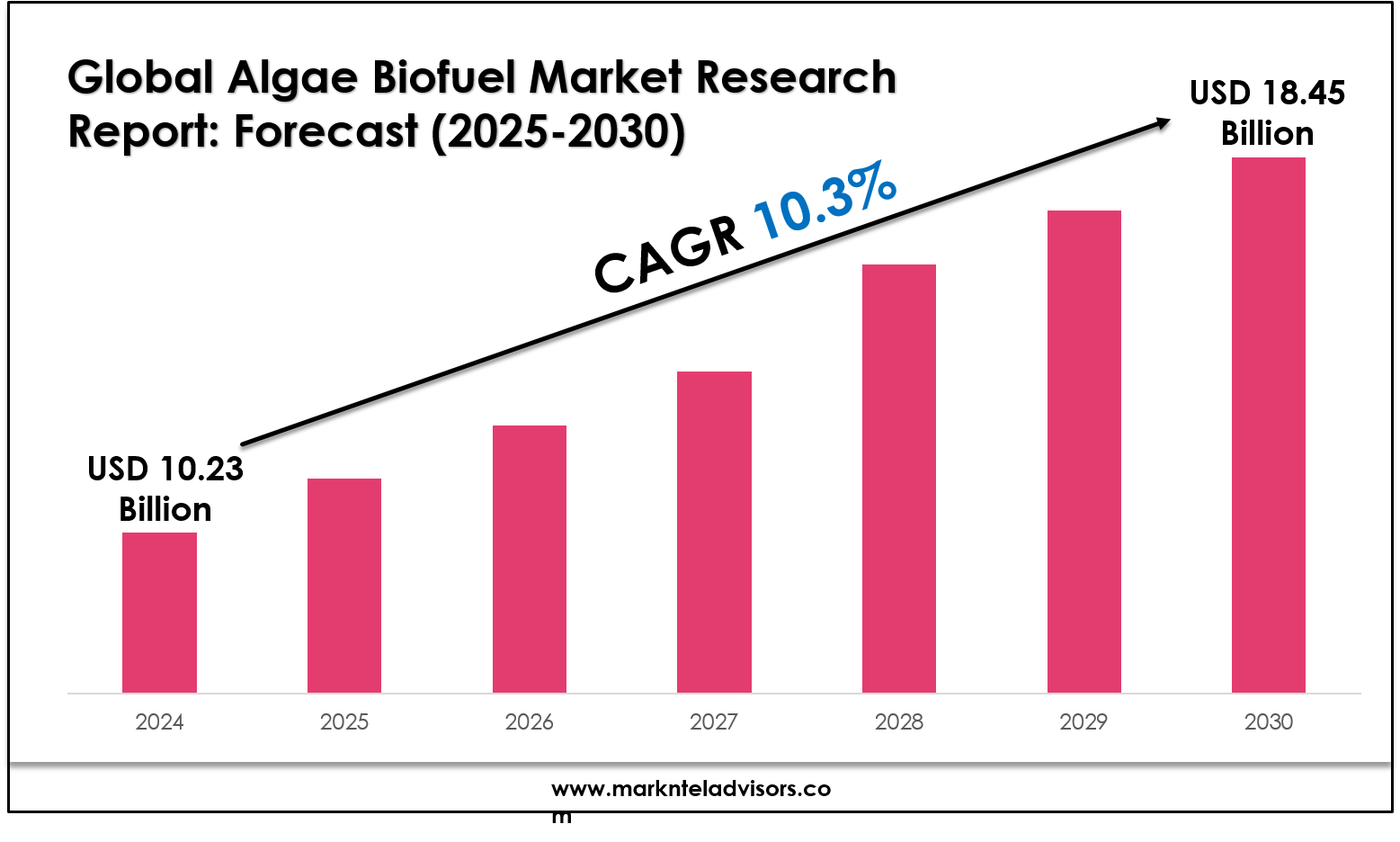 Algae Biofuel Market