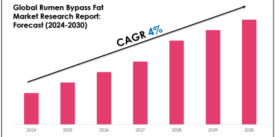 Rumen Bypass Fat Market