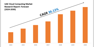 UAE Cloud Computing Market