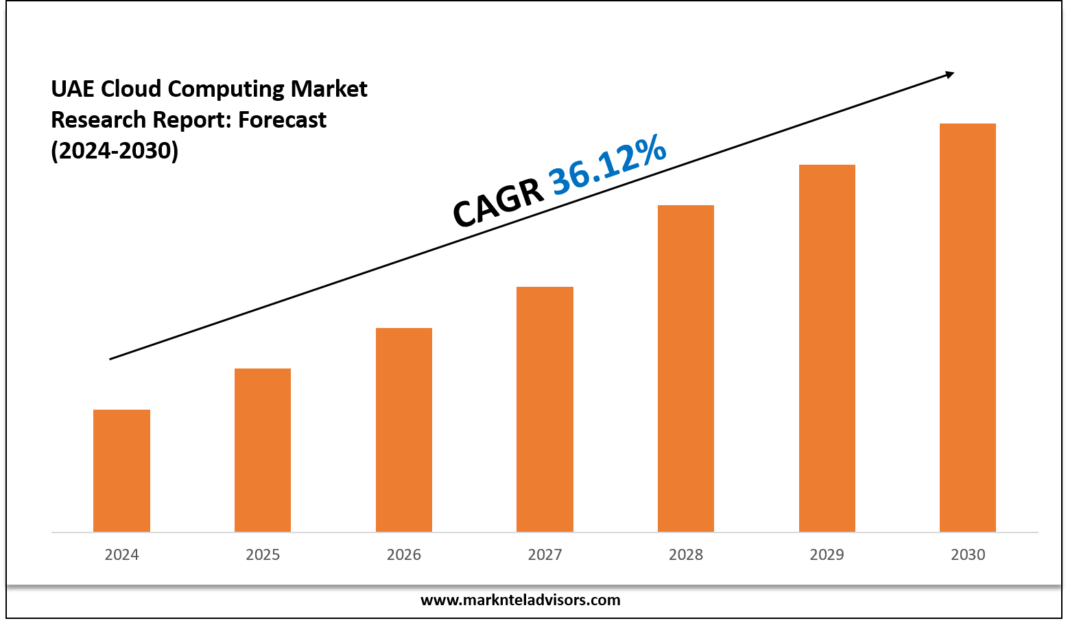UAE Cloud Computing Market