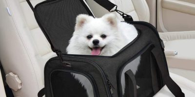 small dog carrier bag