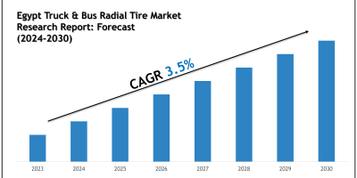 Egypt Truck & Bus Radial Tire Market Charts, Graphs and Forecast Report 2030