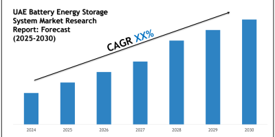 UAE Battery Energy Storage System Market Forecast 2025–2030: Size, Share, and Growth Trends