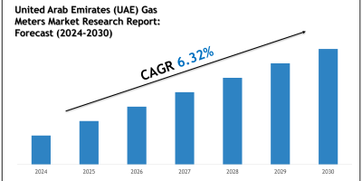 uae-gas-meters-market.html