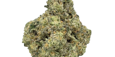 White Fire OG Strain