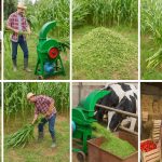 borer control