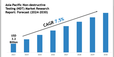 Top Companies in the Asia-Pacific Non-destructive Testing (NDT) Market 2030