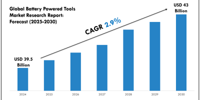 Renal Denervation Market