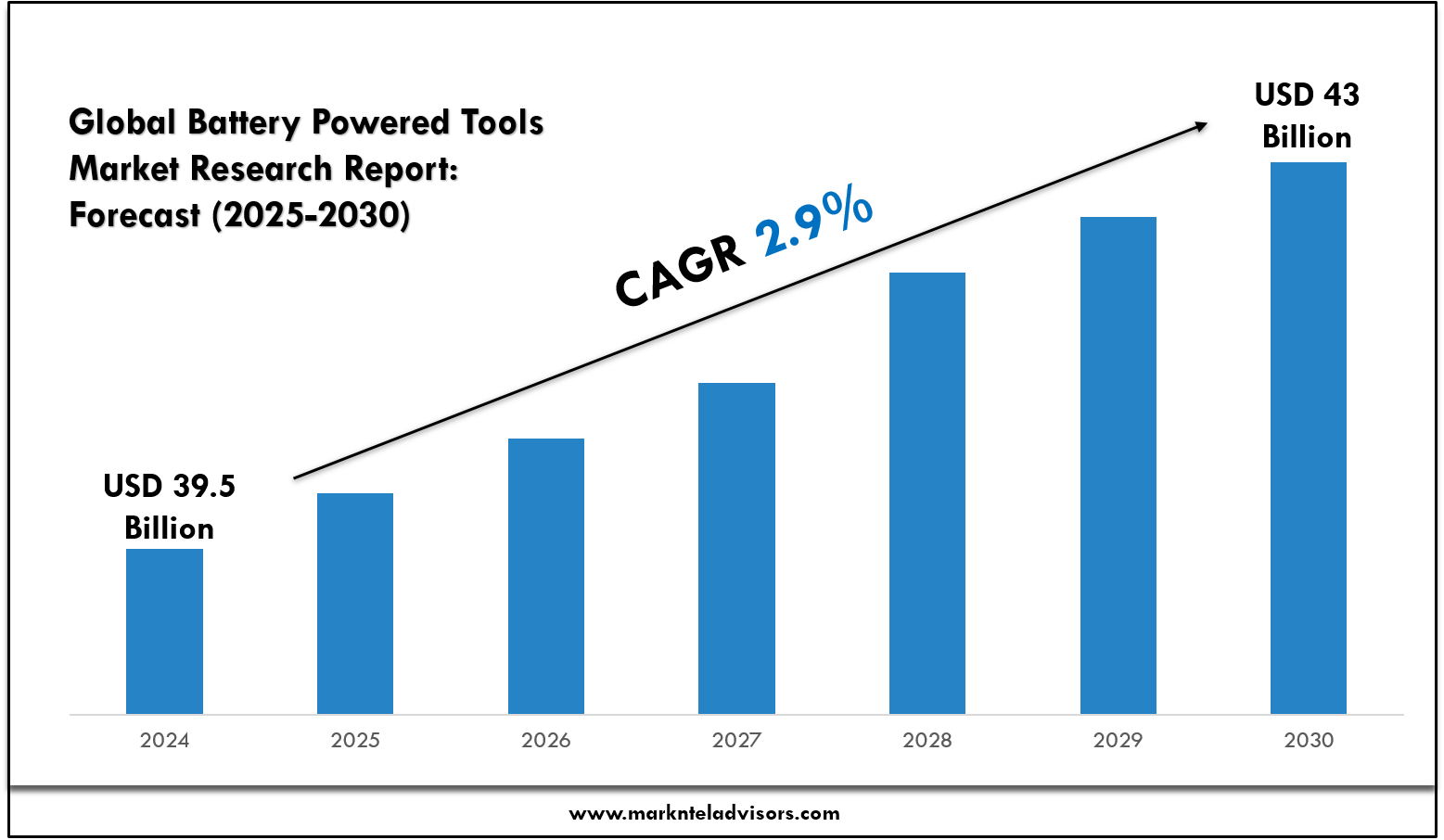 Renal Denervation Market