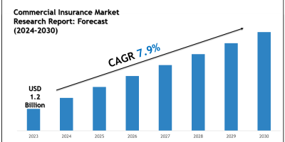 Commercial Insurance Market Key Players, Trends and Projections 2030