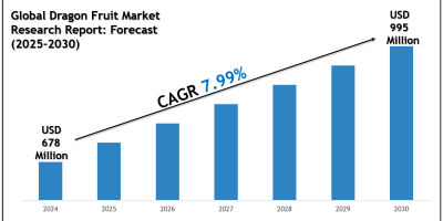 Dragon Fruit Market Charts, Graphs and Forecast Report 2030