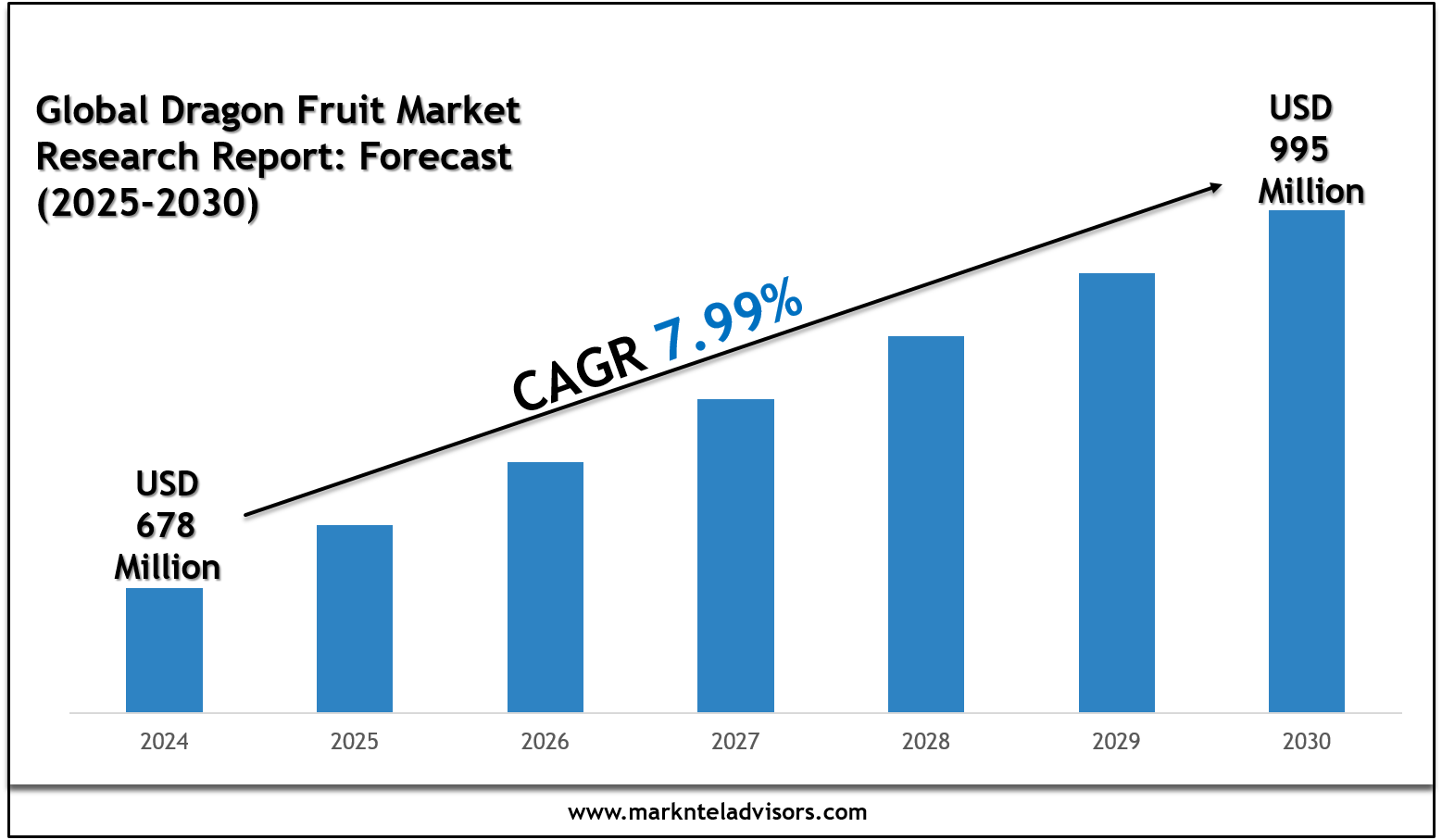 Dragon Fruit Market Charts, Graphs and Forecast Report 2030