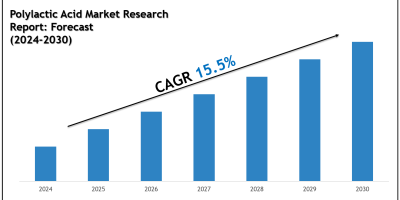 Top Companies in the Polylactic Acid Market 2030