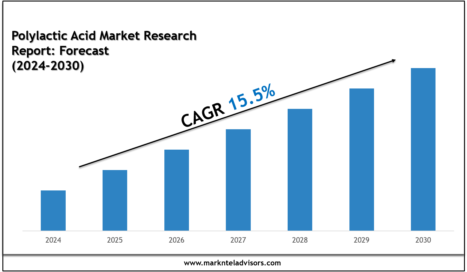 Top Companies in the Polylactic Acid Market 2030