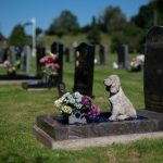 Pet Cremations