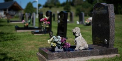 Pet Cremations