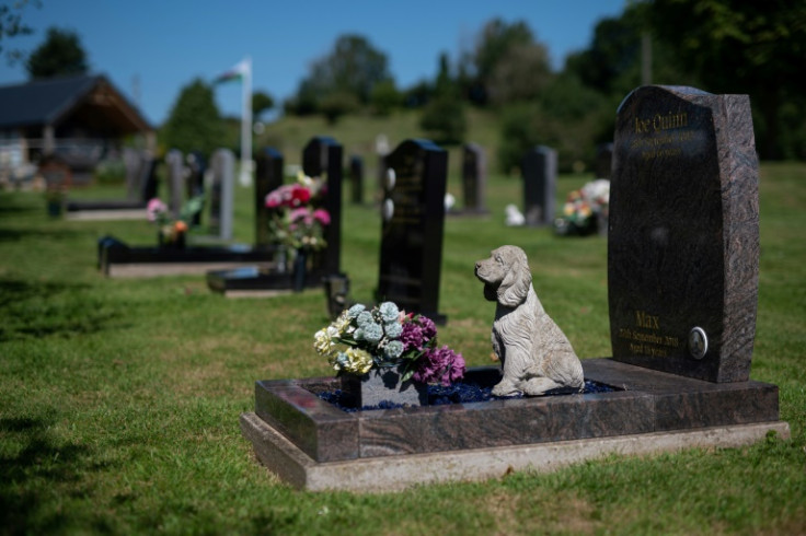 Pet Cremations