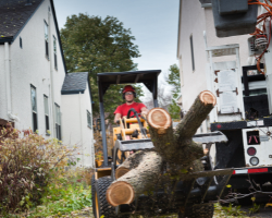yard debris removal services