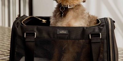 puppy purse carrier