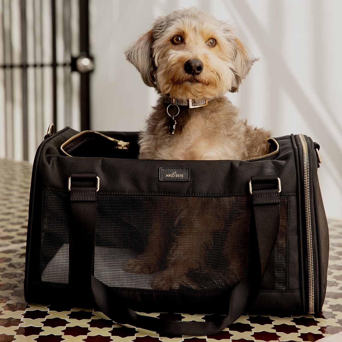 puppy purse carrier