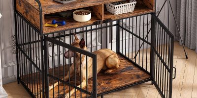 cage dog large